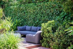 Eastside Oasis Norwood