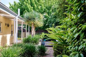 Eastside Oasis Norwood