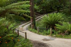 The Fernglen Forest Retreat