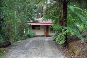 The Fernglen Forest Retreat