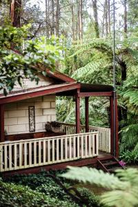 The Fernglen Forest Retreat