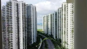 Forest森林城市01