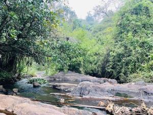 PEARL HUT home stay vythiri Wayanad