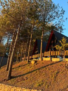 Vilat Alpine Golden Gjinar