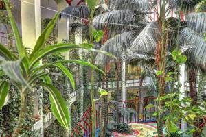 Frontal Sea View Apartment Benalbeach