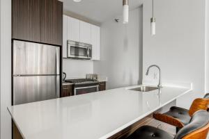 Loop studio w roof deck nr michigan ave CHI-1014