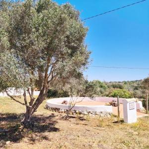 Casa do Avô António