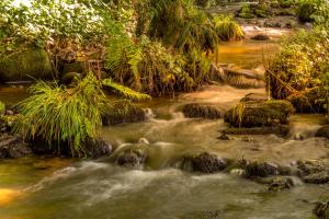 Chambres dHôtes "La Landre"