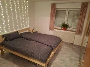 Schöne helle Wohnung nähe Parkanlage - Hecklingen