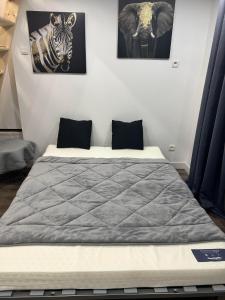 Appartements Beau petit studio avec terrasse et 2 couchages : photos des chambres