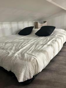 Appartements Beau petit studio avec terrasse et 2 couchages : photos des chambres