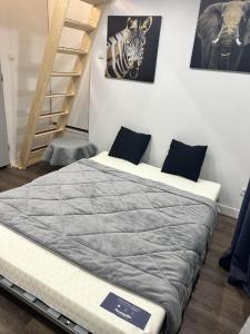 Appartements Beau petit studio avec terrasse et 2 couchages : photos des chambres