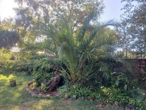 Sweet Dreams Guest House Schweizer Reneke