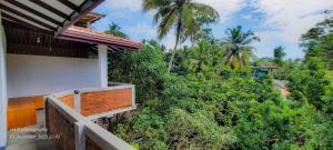 Jungle Escape Hiriketiya