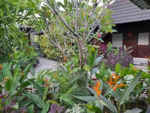 Puri Lestari Official