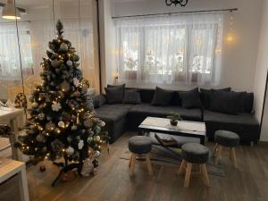 Eight-Bedroom House room in Pensiunea Maria