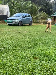 “Green Thumb Farm Stay” - Rānī