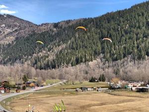 Cosy mountain apartment 5min walk from Gondola