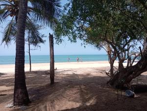 Breezy Beach Cabanas