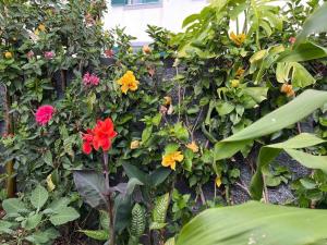 Moradia com piscina no Caniço