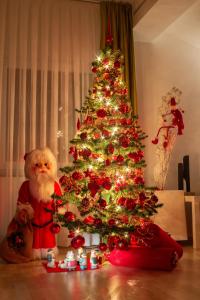 Garden Apartments Janša