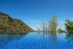 Botanica Living Magnolia Apt