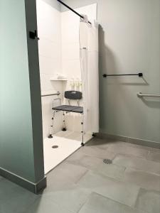 King Bedroom Suite with Roll-In Shower - Mobility/Hearing Accessible - Pet-Friendly/Non Smoking room in Hawthorn Extended Stay by Wyndham Mount Laurel Moorestown