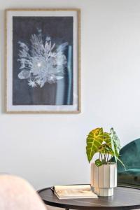 Ocean Views, Modern, Fast Wifi, Southbank Location