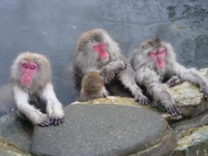 Shiga Kogen Olympic Hotel