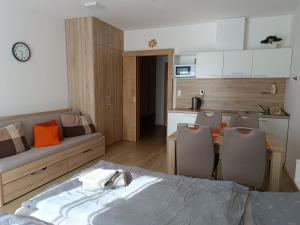 Apartmán U Sjezdovky