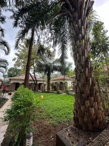 Home Feeling Neneu Lodge