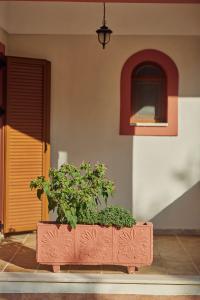 Jessica Luxury Villa