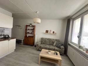 Apartment with Mountain View room in Apartmán Kovářská u Klínovce