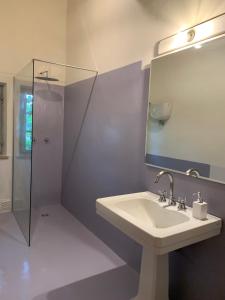 Capannacce Organic and Horse Farm