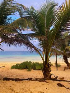 Playa Lakin-ha beachfront cabins