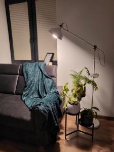 Przestronny Luksusowy Apartament, Klimatyzacja, Duży Parking, Zameldowanie 24h, 2 sypialnie, salon, kuchnia, pralnia, monitoring, 95mkw