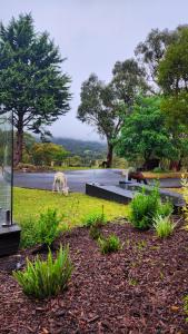 Savvanah Farmstay family friendly home with stunning views and spa