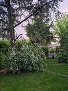 LA CASA DI GIM