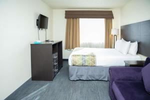 Family Suite with Three Queen Beds - Non-Smoking room in GreenTree Inn Montrose