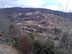 Chalet 3 étoiles avec sauna près de La Bresse - FR-1-589-18