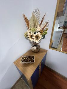 Apartment Dida Ledine