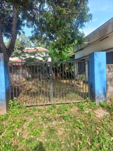 Photo of DeLasVegas Vark