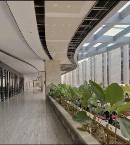 Pollux Habibie Apartment Level 19 (Sea View)