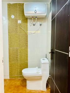 The Dreamlight Studio