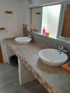 Shala Mushe Tented Camp & Camp