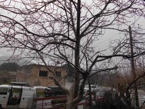 Οροπέδιο Καθαρού Κριτσάς- Αβελιακό