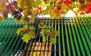 Green Cube Capsule Hostel