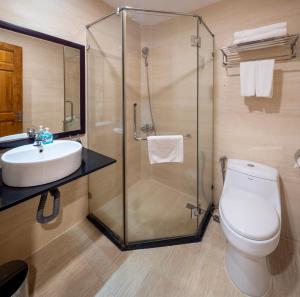 Viet Lotus Saigon Hotel