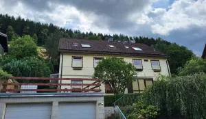 Birkenstübchen - Lautenthal