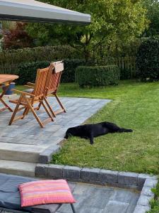 Ferienhaus Glückspilz beim Hennesee